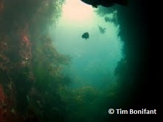 underwater